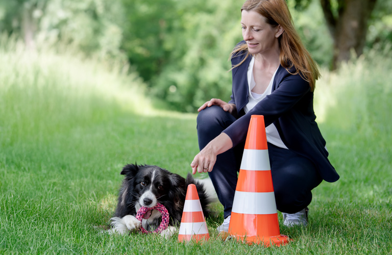 Beim hundegestützten Coaching werden Kommandos gegeben Coachee Elke zeigt Hnd Jack wohin das Hundespielzeug gebracht werden soll
