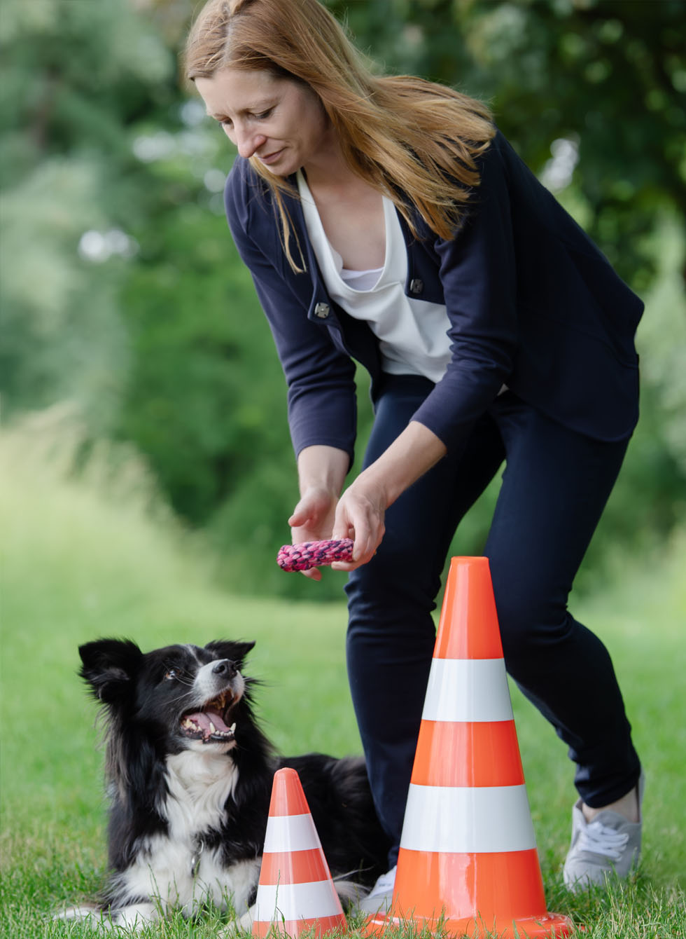 Beim hundegestützten Training gibt es wertvolle Impulse für Reflexion und Veränderung Coachee Elke und Hund Ellie beim hundegestütztem Training