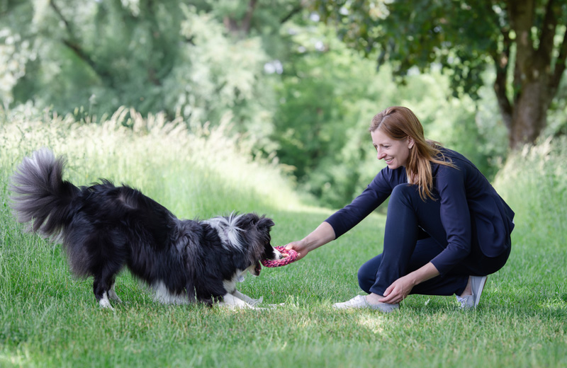 Man lernt auch Geduld beim hundegestützten Coaching Hund Jack möchte das Spielzeug nicht mehr hergeben