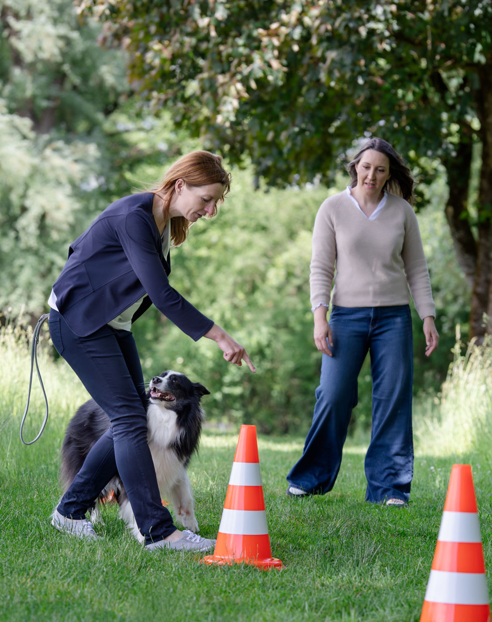 Mit einem Hund durch einen Parkours laufen gehört beim hundegestützten Coaching dazu Beim hundegestützten Coaching läuft Coachee Elke mit Hund Jack durch einen Parkour