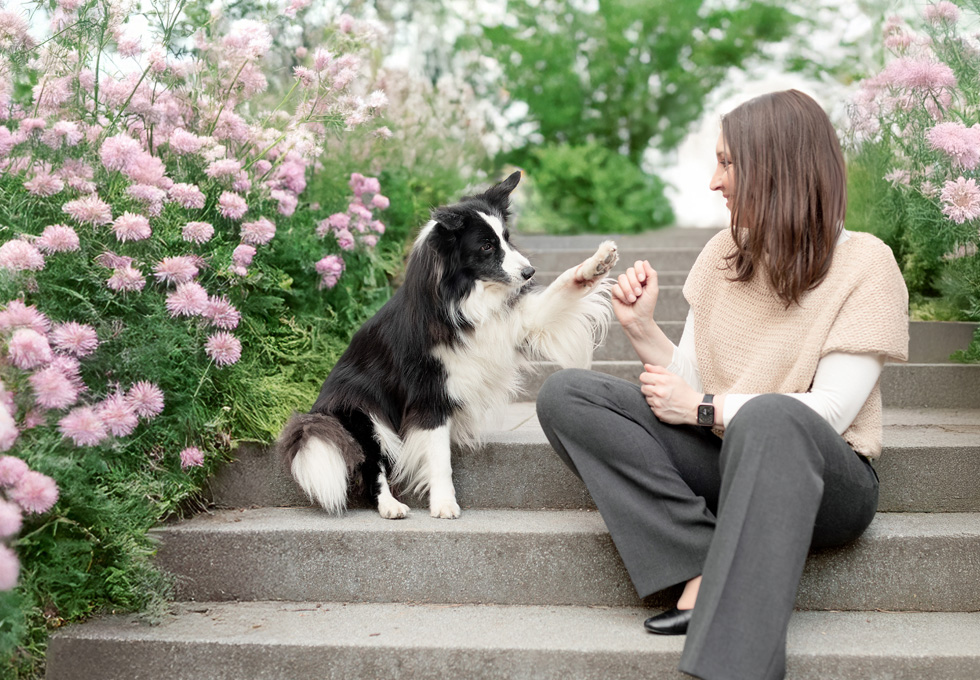 Silke Breuninger und ihre Border Collies haben eine innige Verbindung Hund Jack grüßt seine Trainerin